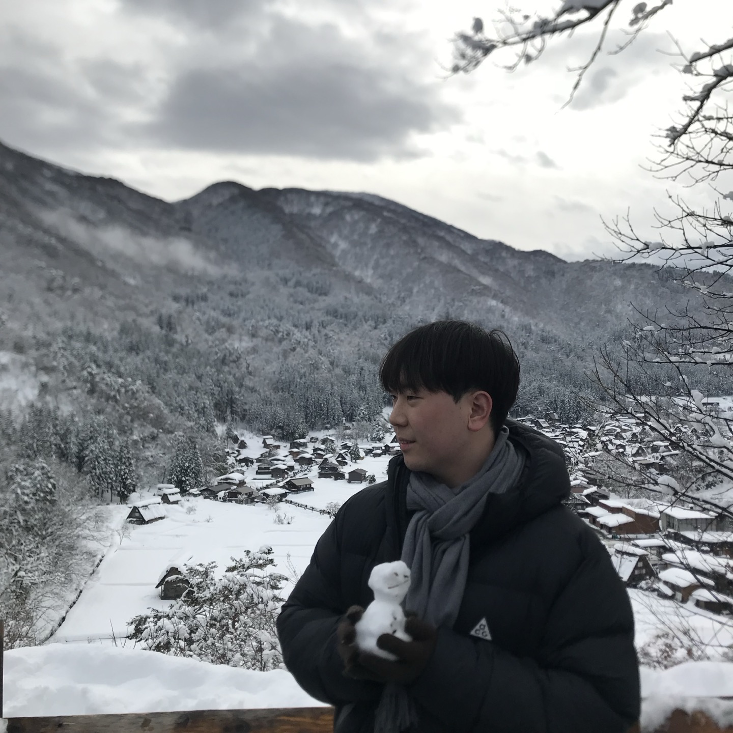 사진